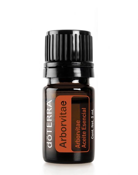 Arborvitae