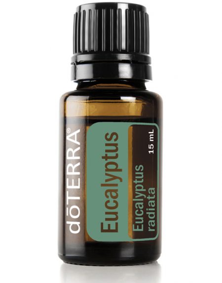 Eucalipto