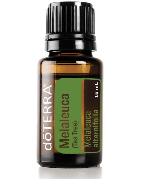 Melaleuca